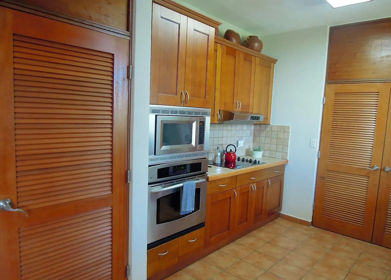 Penthouse Villa At At Rio Mar Carmelita Puerto Rico